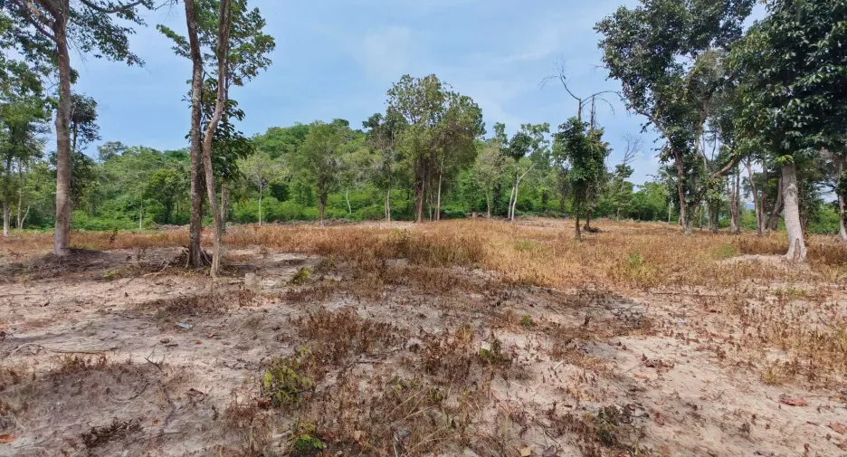 For sale land in Ko Samui, Surat Thani