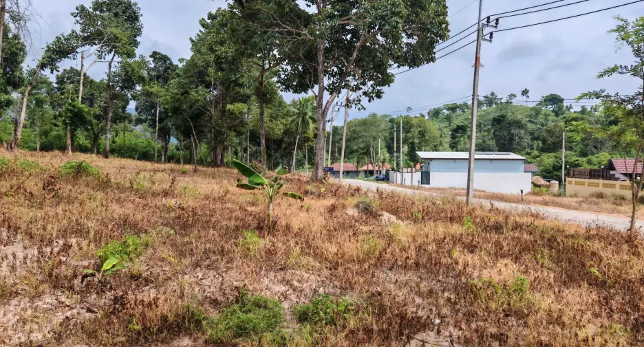 For sale land in Ko Samui, Surat Thani