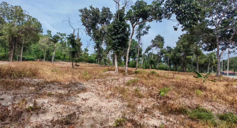 For sale land in Ko Samui, Surat Thani