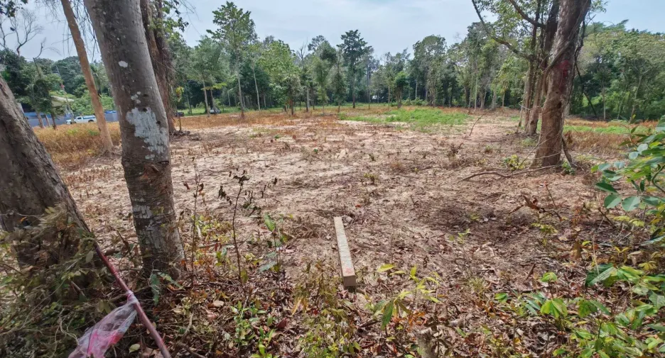 For sale land in Ko Samui, Surat Thani