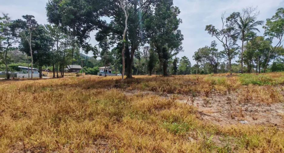 For sale land in Ko Samui, Surat Thani