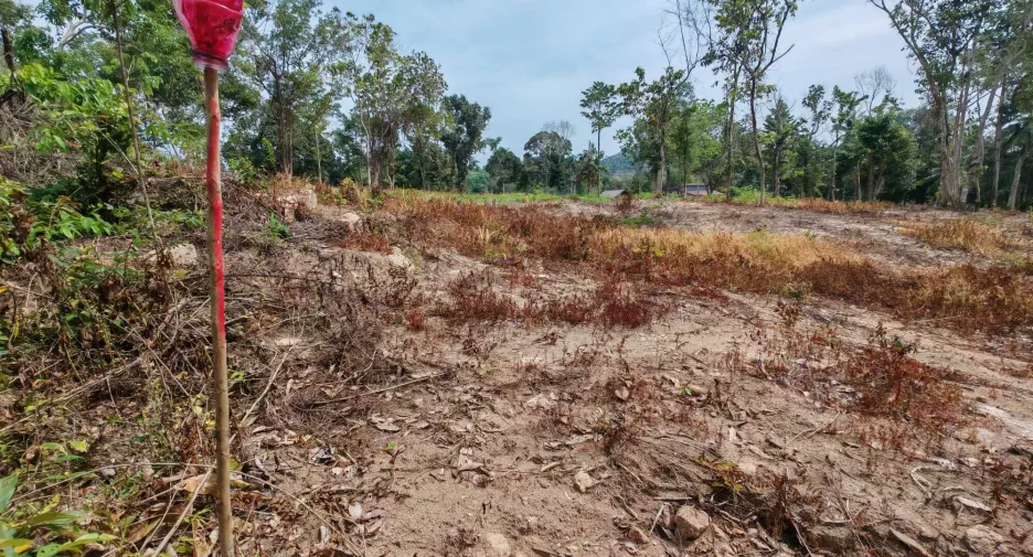 For sale land in Ko Samui, Surat Thani