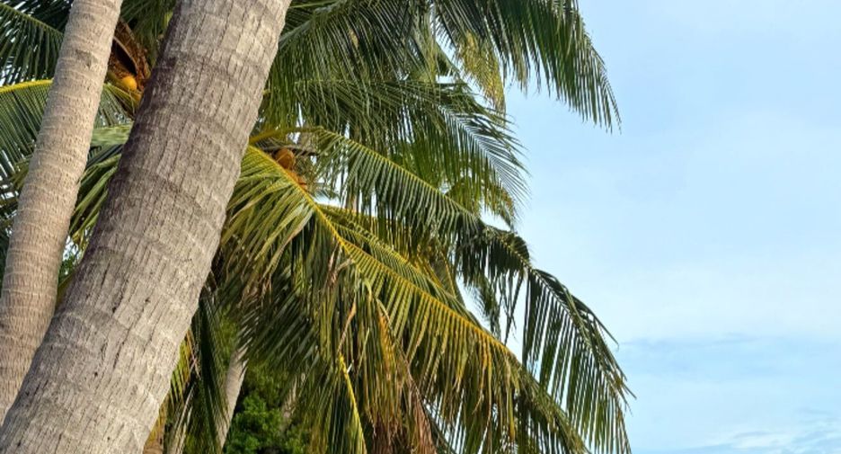 For rent 2 bedrooms house in Ko Samui, Surat Thani