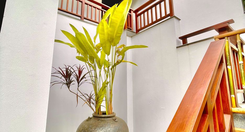 For rent 4 bedrooms villa in Ko Samui, Surat Thani