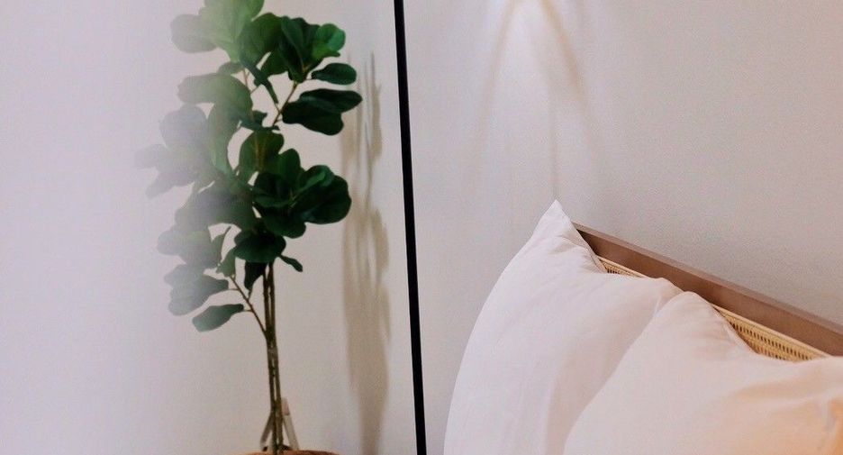 For rent studio condo in Mueang Chiang Mai, Chiang Mai