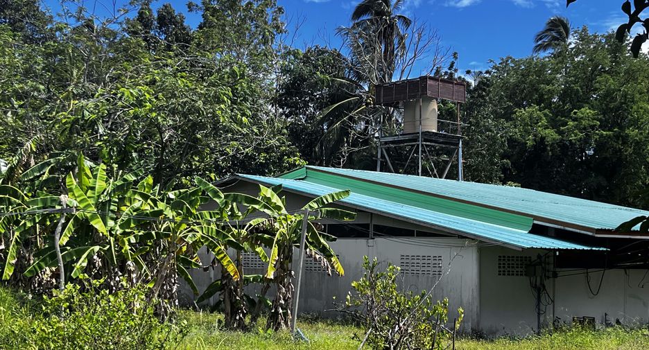 Terreno en venta en Ko Samui, Surat Thani