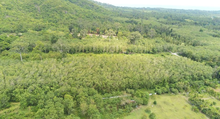 Terreno en venta en Ko Samui, Surat Thani