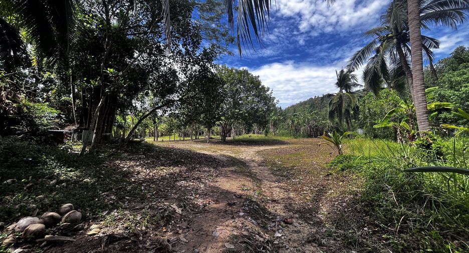 Terreno en venta en Ko Samui, Surat Thani