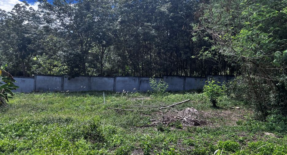Terreno en venta en Ko Samui, Surat Thani