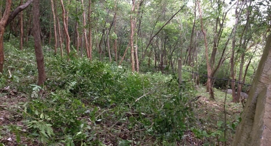 ขาย ที่ดิน ใน เกาะสมุย, สุราษฎร์ธานี
