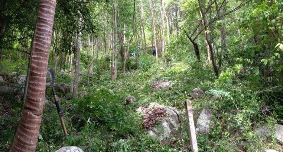 ขาย ที่ดิน ใน เกาะสมุย, สุราษฎร์ธานี