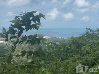 For sale land in Ko Samui, Surat Thani