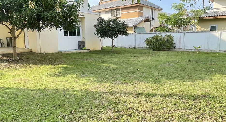 For sale and for rent 4 bedrooms house in San Sai, Chiang Mai