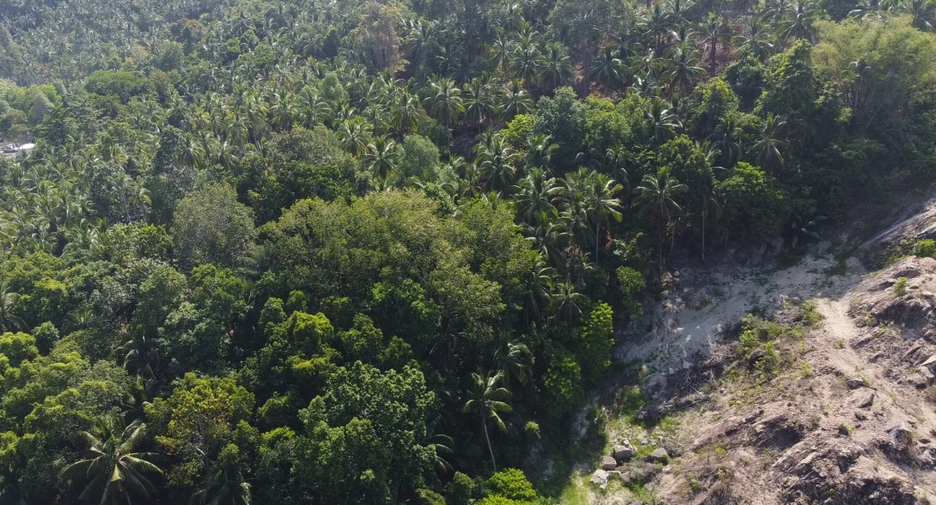 For sale land in Ko Pha-ngan, Surat Thani