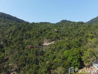 出售 土地 在 Koh Phangan, 素叻