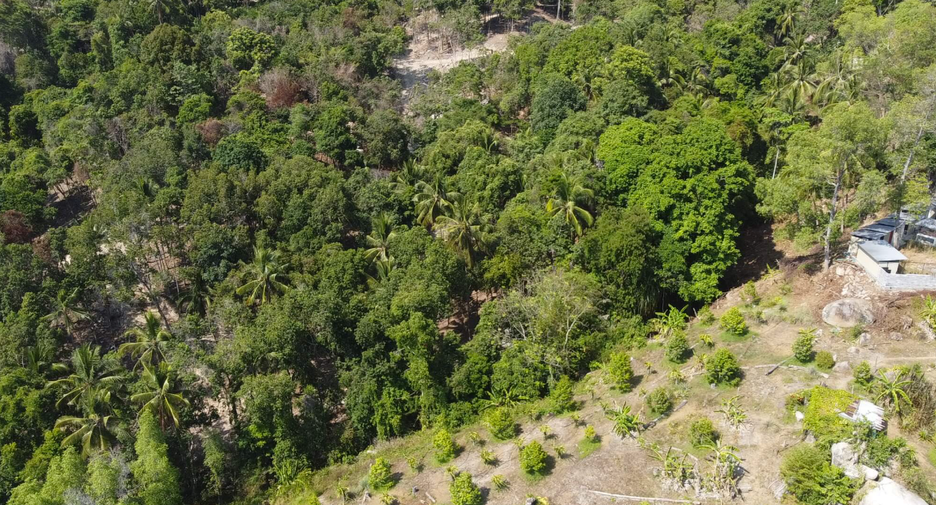 For sale land in Ko Pha-ngan, Surat Thani