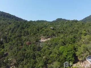 À vendre terrain à Ko Pha-ngan, Surat Thani