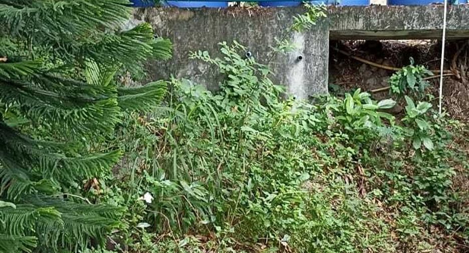 For sale and for rent 4 bedrooms villa in Ko Samui, Surat Thani