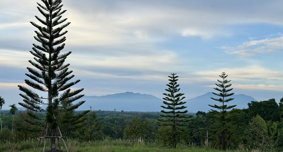 For sale land in Makham, Chanthaburi