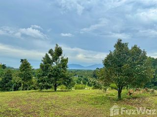 For sale land in Makham, Chanthaburi