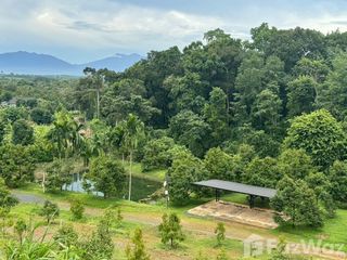 For sale land in Makham, Chanthaburi