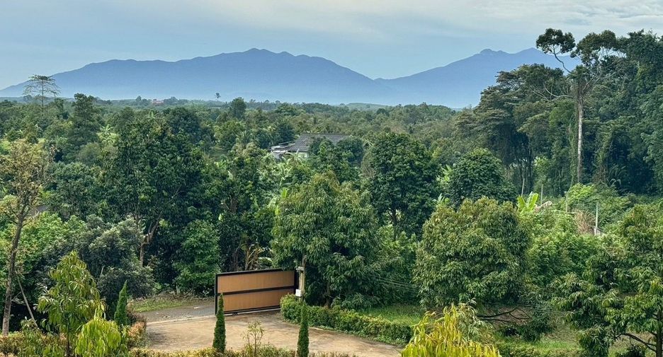 For sale land in Makham, Chanthaburi