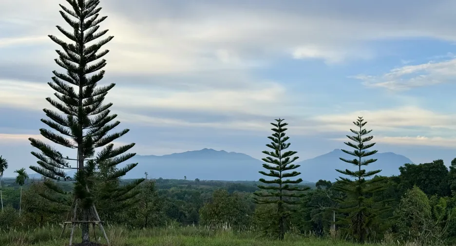 À vendre terrain à Makham, Chanthaburi