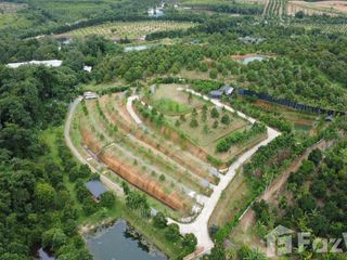 For sale land in Makham, Chanthaburi
