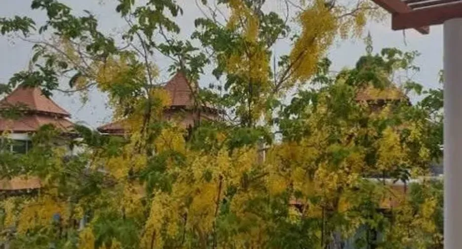 For sale and for rent 4 bedrooms house in Cha Am, Phetchaburi