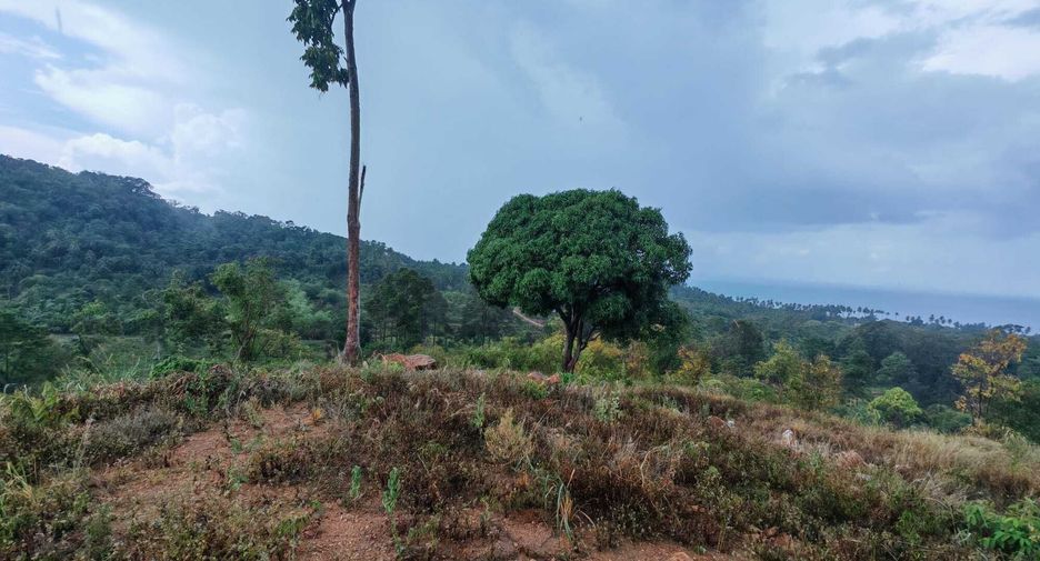 For sale land in Ko Samui, Surat Thani