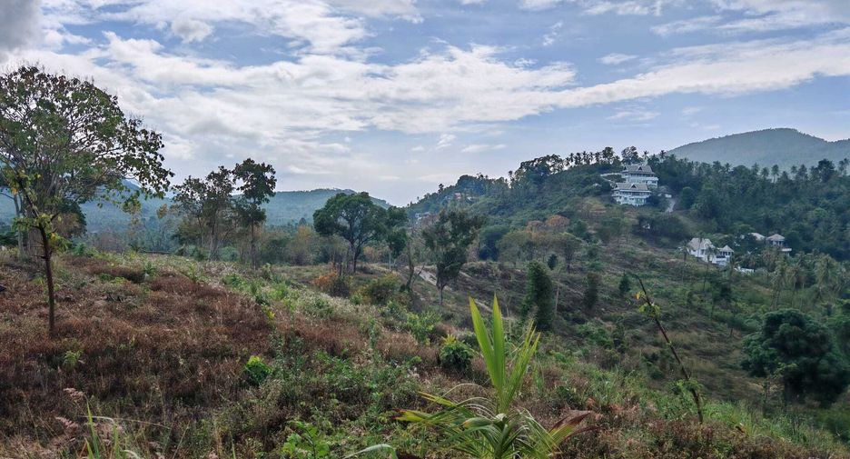 For sale land in Ko Samui, Surat Thani