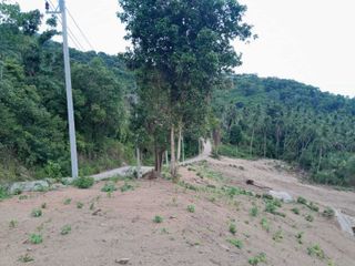 ขาย ที่ดิน ใน เกาะสมุย, สุราษฎร์ธานี