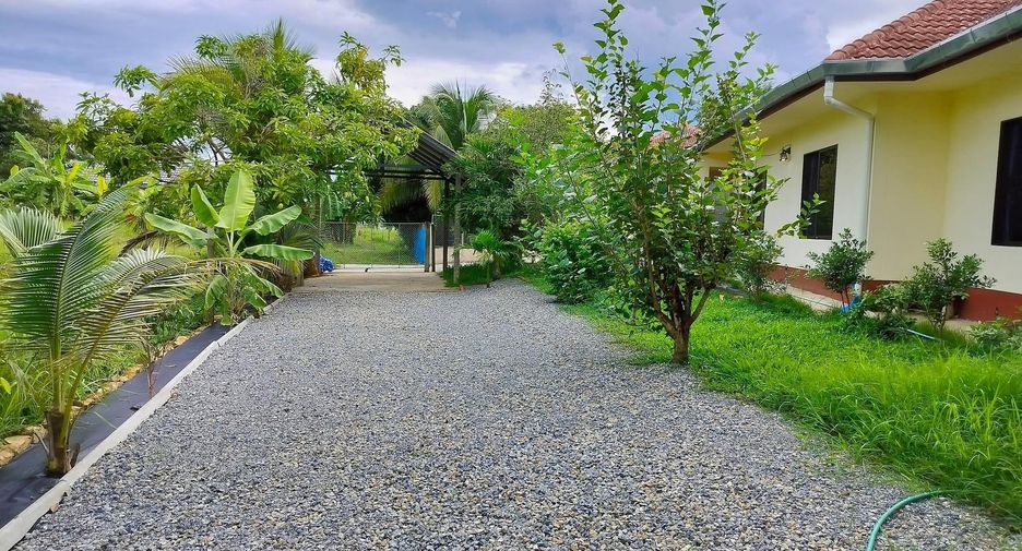 For rent 3 bedrooms house in San Sai, Chiang Mai