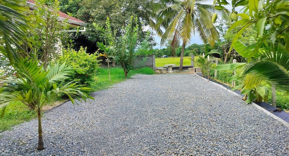 For rent 3 bedrooms house in San Sai, Chiang Mai