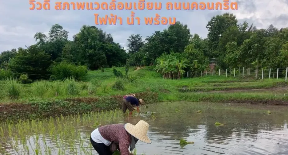For sale land in Mae Rim, Chiang Mai