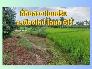 Terreno en venta en Mae Rim, Chiang Mai