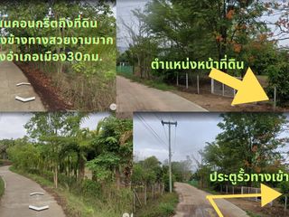 Terreno en venta en Mae Rim, Chiang Mai