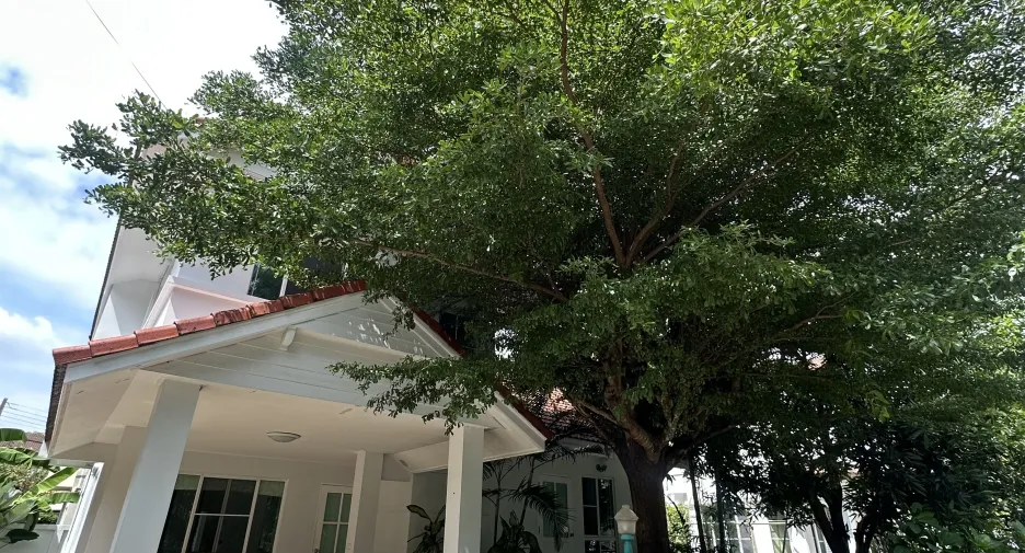For rent 3 bedrooms house in Mueang Chiang Mai, Chiang Mai