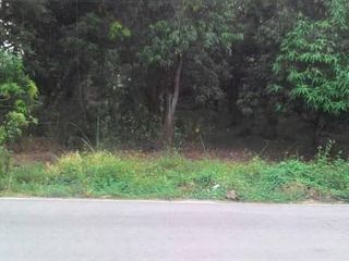 出售 土地 在 San Sai, Chiang Mai