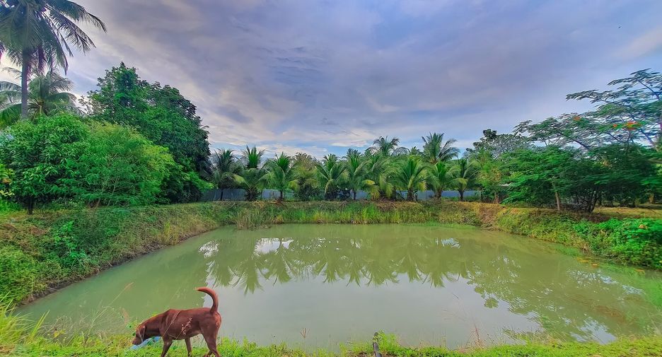 For sale 2 bedrooms house in Mueang Prachuap Khiri Khan, Prachuap Khiri Khan