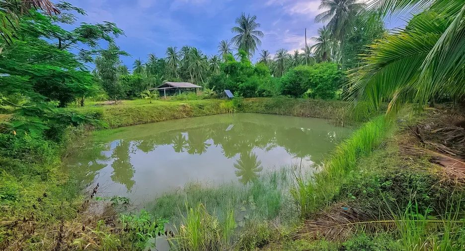 For sale 2 bedrooms house in Mueang Prachuap Khiri Khan, Prachuap Khiri Khan
