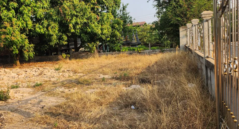 For sale land in Rattanaburi, Surin
