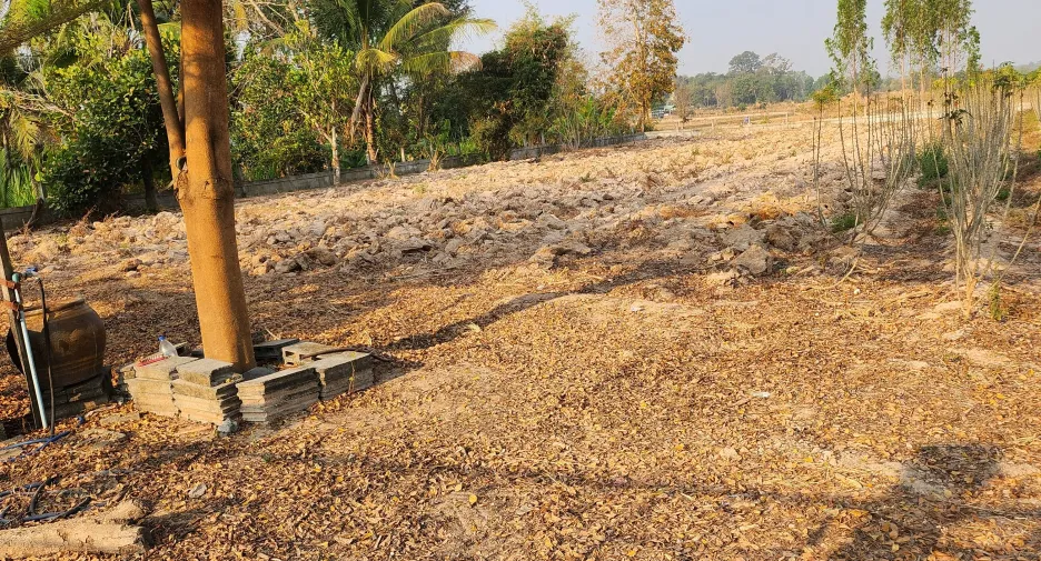 For sale land in Rattanaburi, Surin