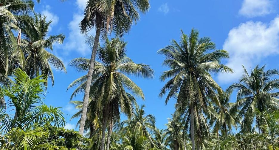 For rent 2 bedrooms house in Ko Samui, Surat Thani