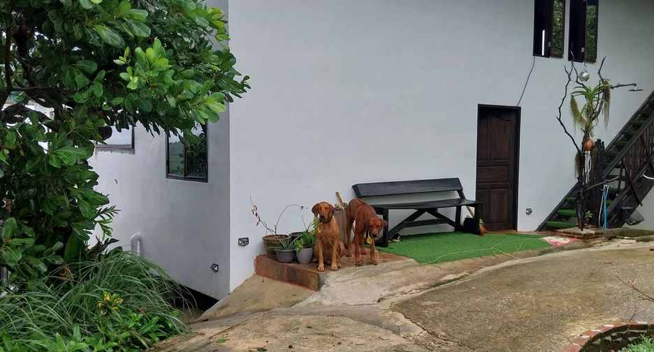 Продажа 7 спальни вилла в Mueang Ranong, Ranong