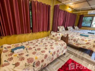 For rent 1 bed house in Mae Rim, Chiang Mai
