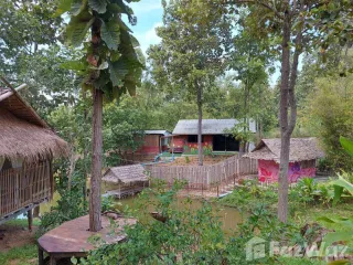 For rent 1 bed house in Mae Rim, Chiang Mai