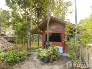 For Rent 1 Bedroom House In Mae Rim, Chiang Mai