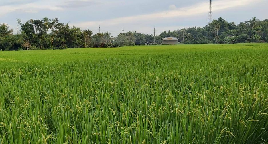 Terreno en venta en Mae Taeng, Chiang Mai