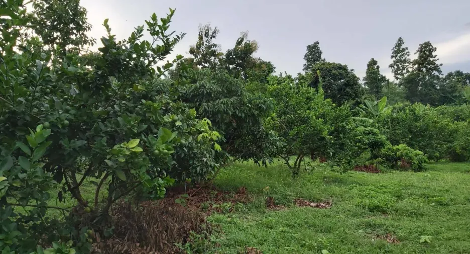Terreno en venta en Mae Taeng, Chiang Mai